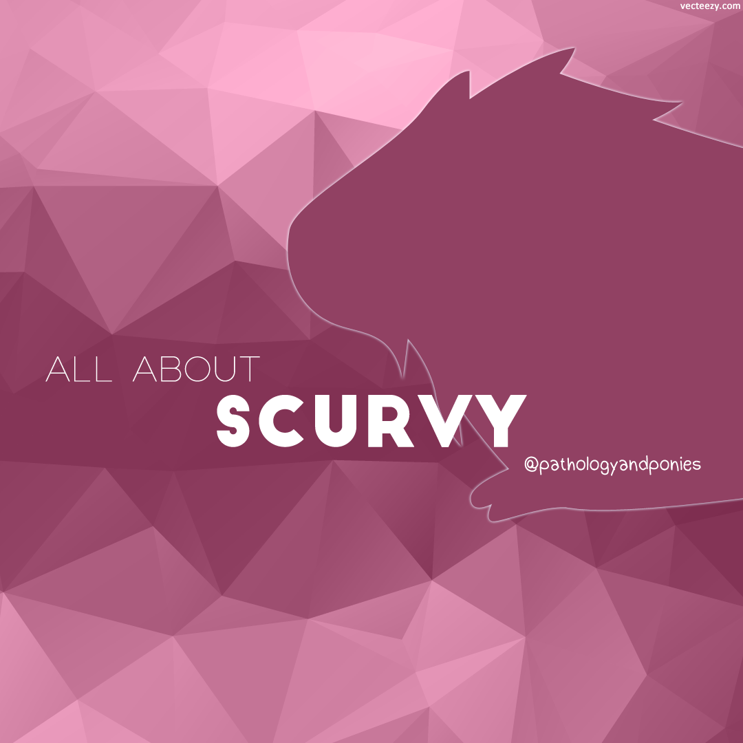 scurvy-pathology-and-ponies