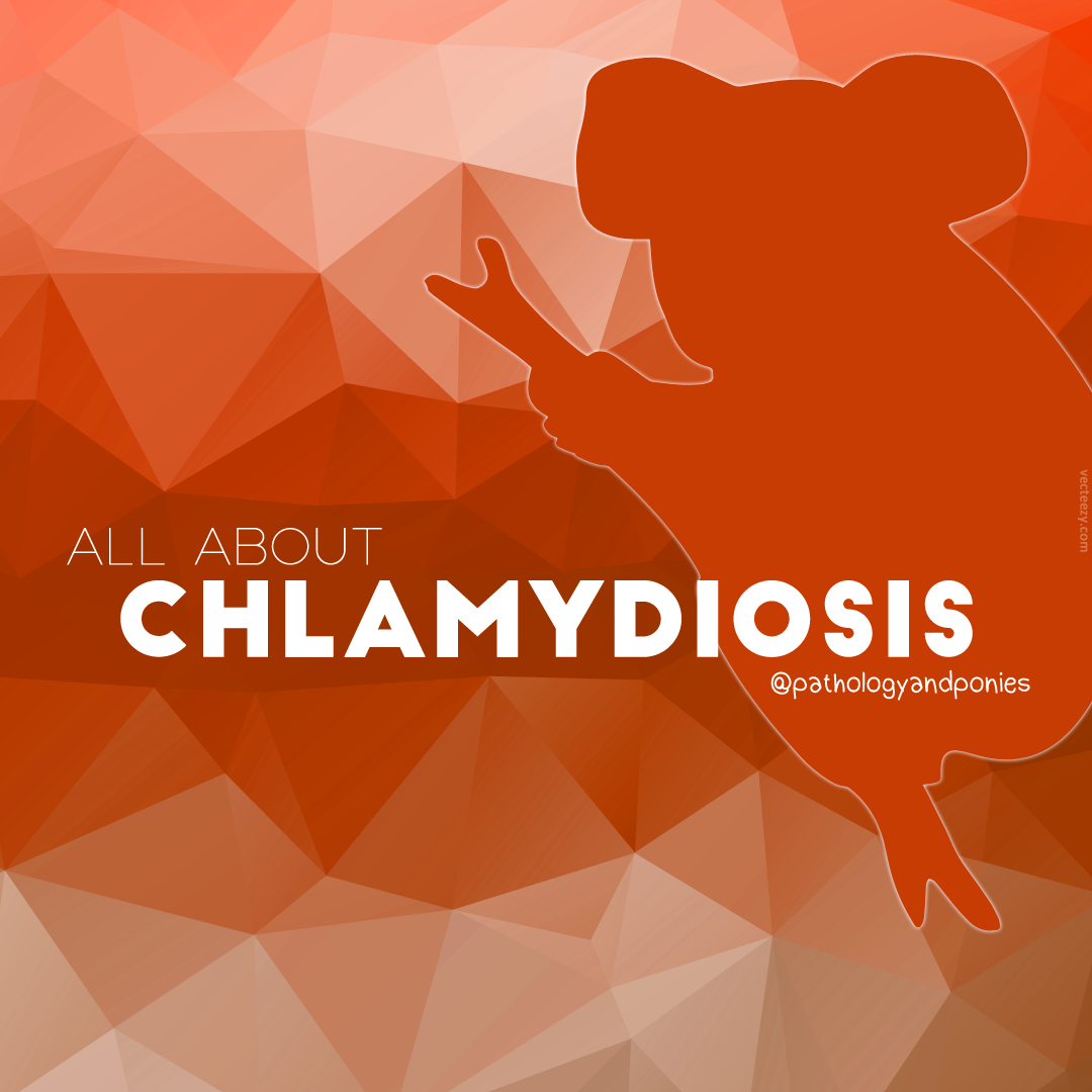 Chlamydiosis - Pathology And Ponies