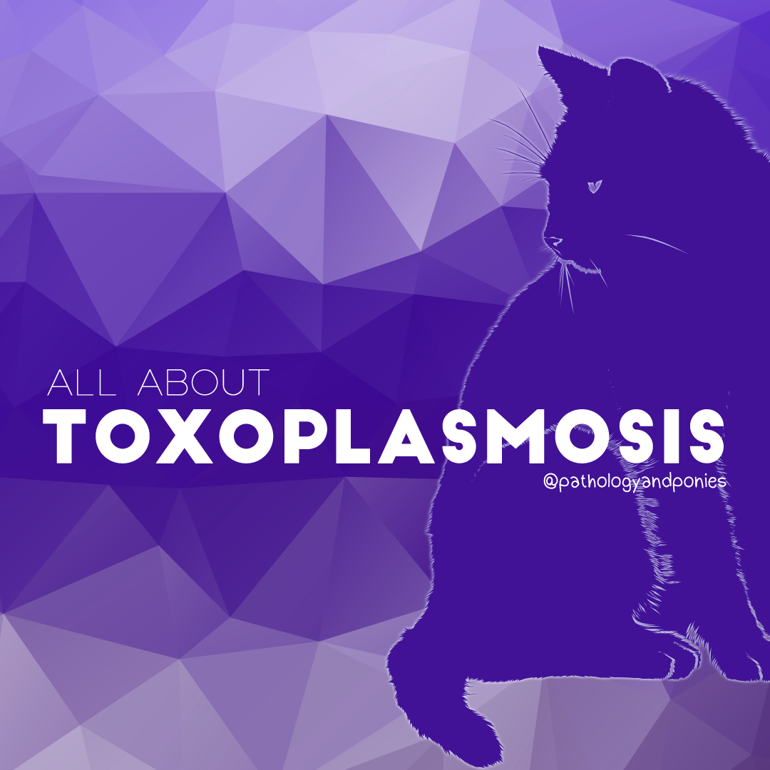 Toxoplasmosis
