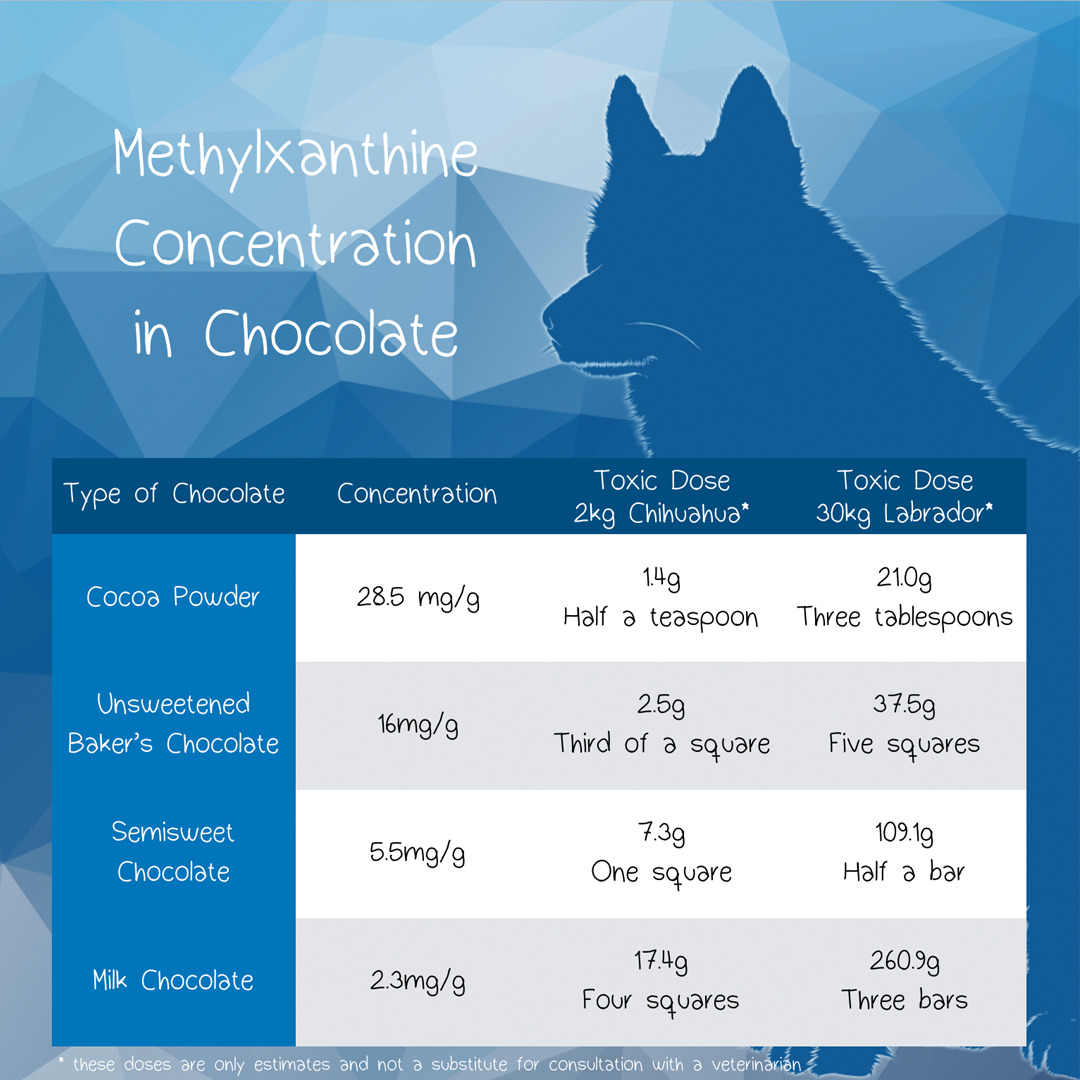 Beautiful view of Average Chocolate Toxicity Statistics Per Year