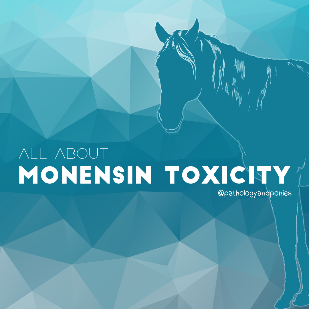 Monensin Toxicity - Pathology and Ponies
