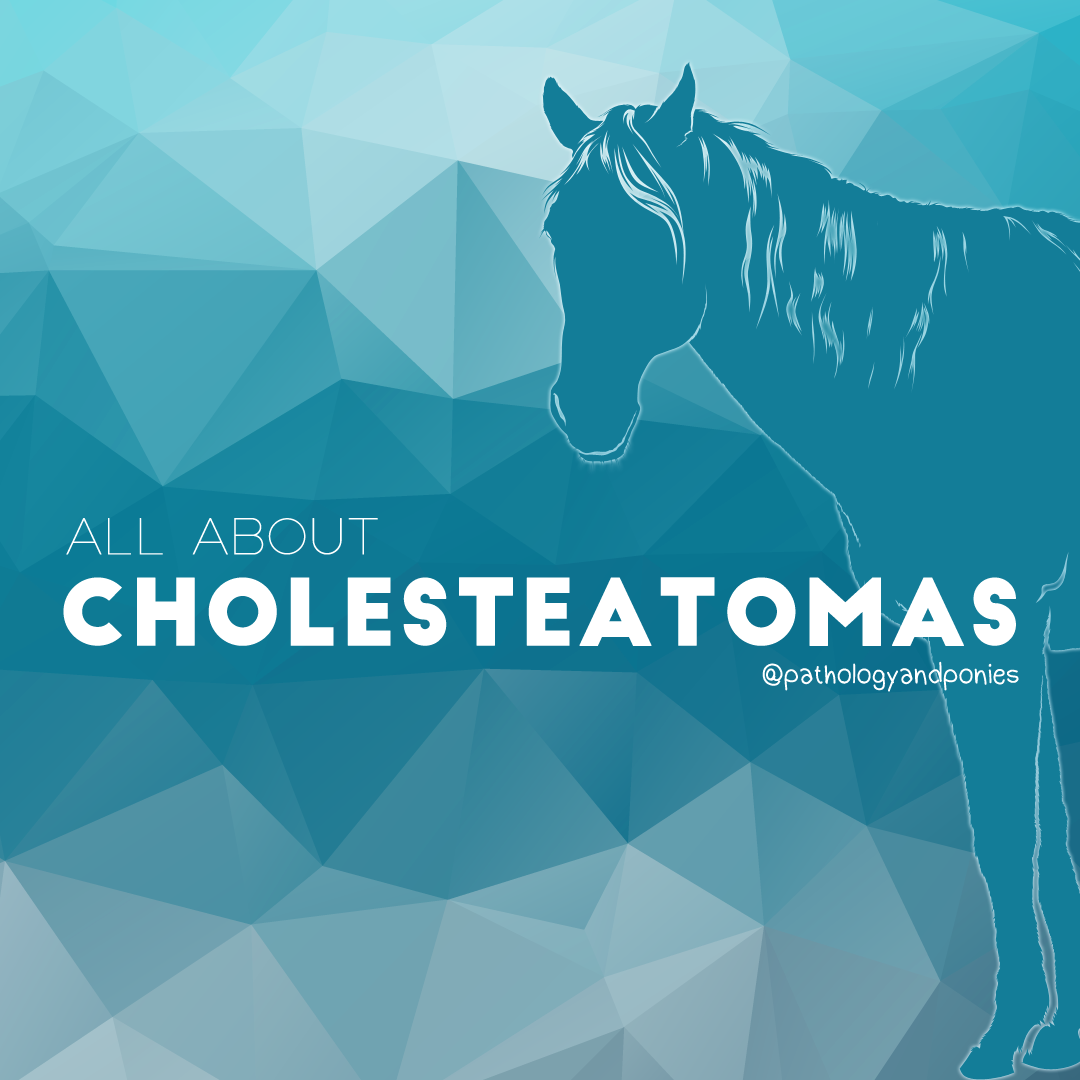 Cholesteatomas