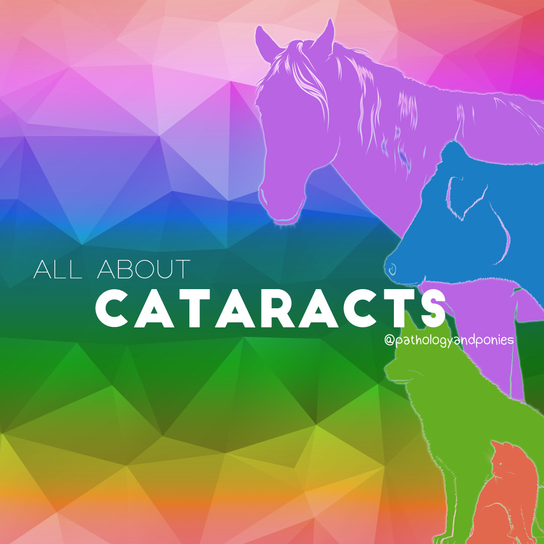 Cataracts