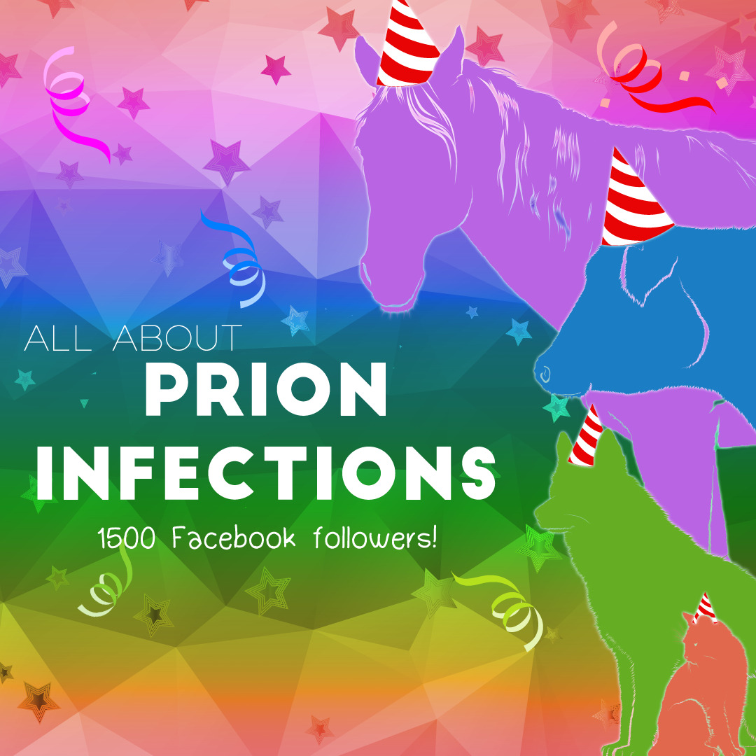 Prion Infections