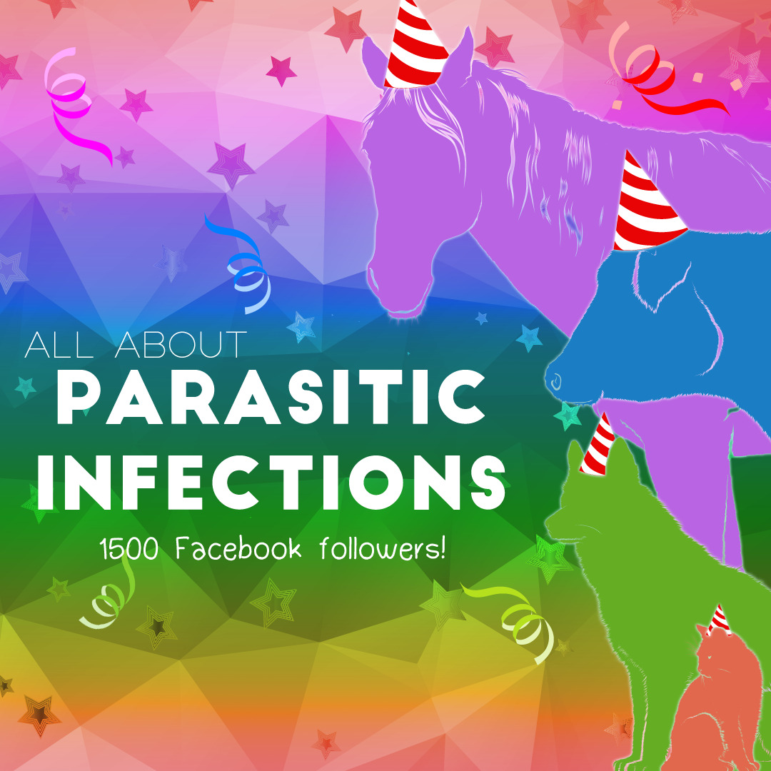 parasitic-infections-pathology-and-ponies