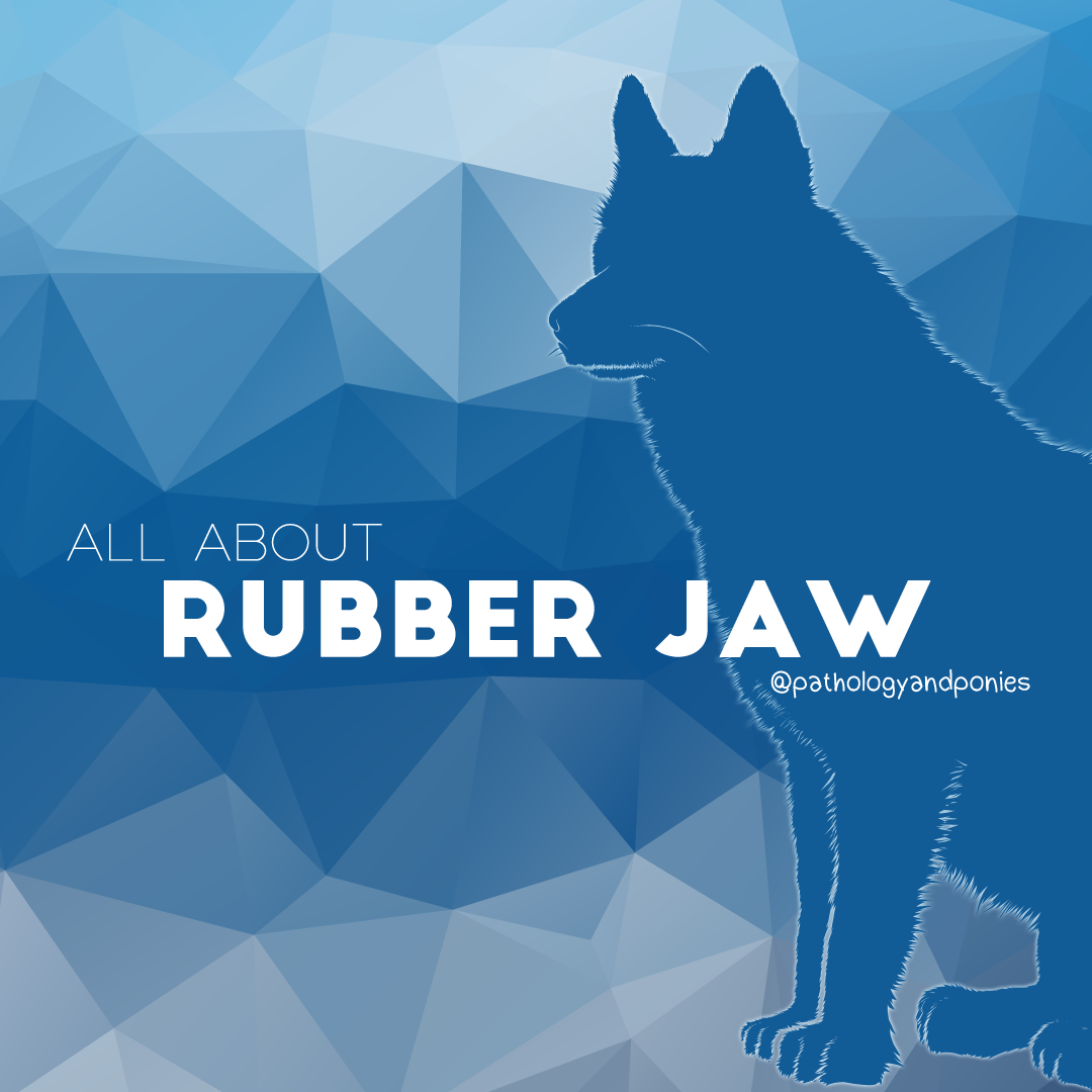 Rubber Jaw
