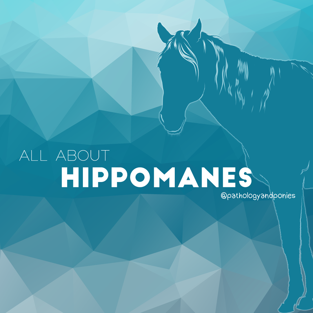 Hippomanes Pathology and Ponies