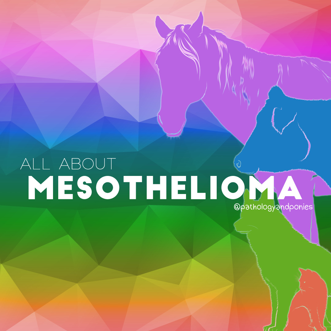 Mesothelioma