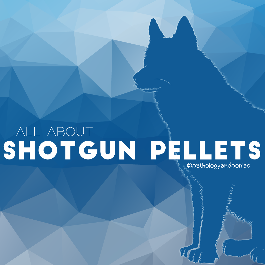 Shotgun Pellets