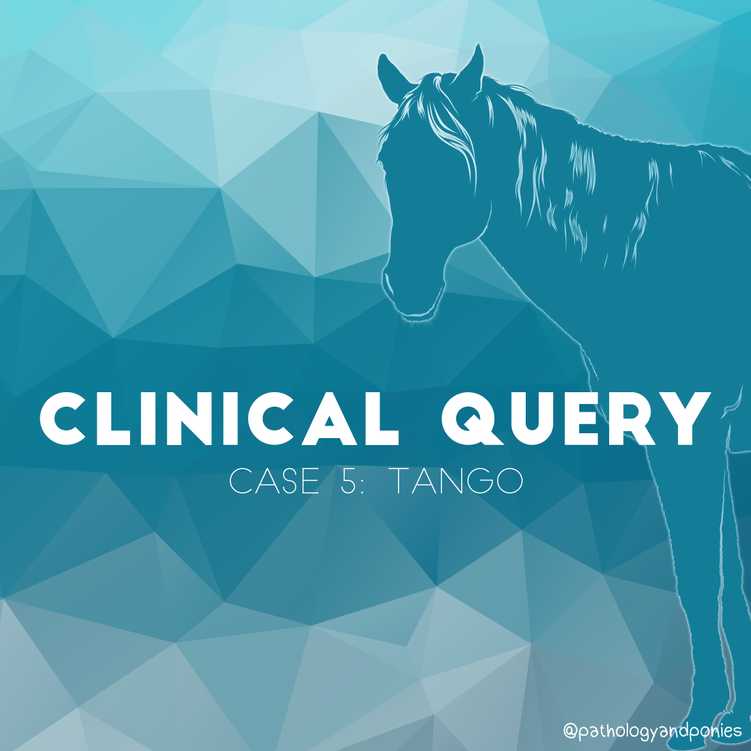 Case 5: Tango