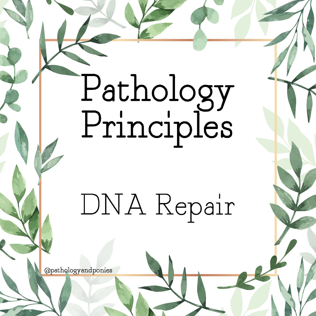 DNA Repair - Pathology and Ponies