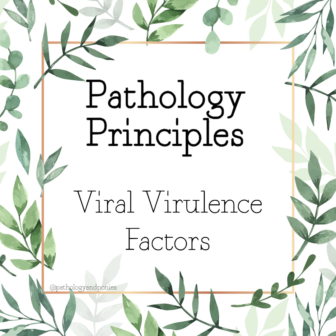 Viral Virulence Factors - Pathology and Ponies